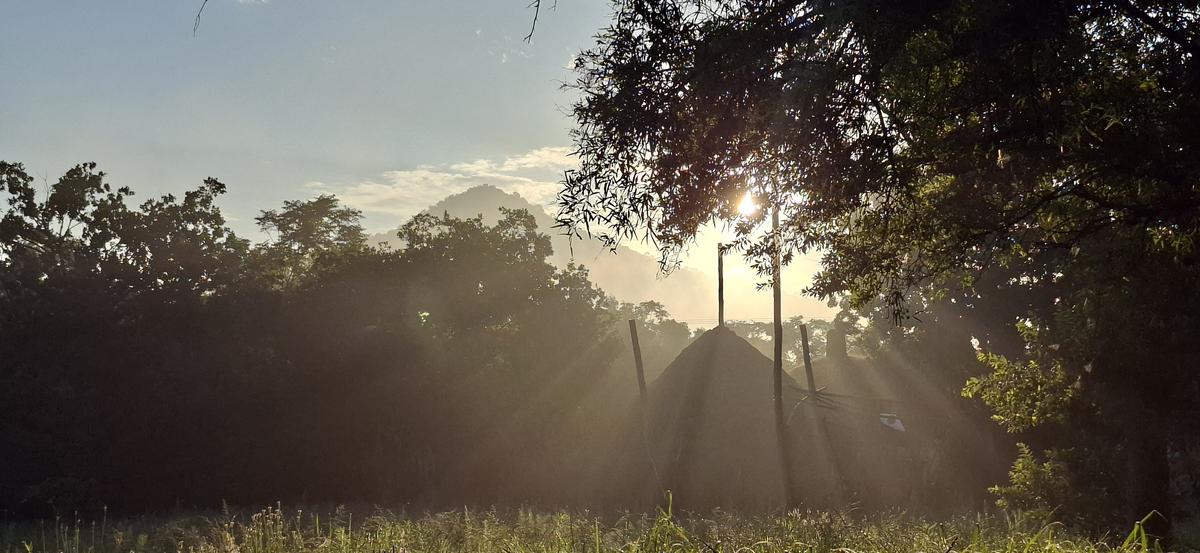 Naledi-Africa village in morning mist